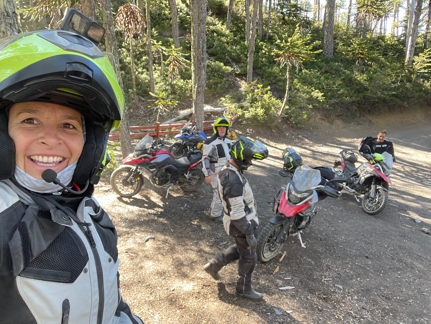 1000 KM Lagos y Volcanes