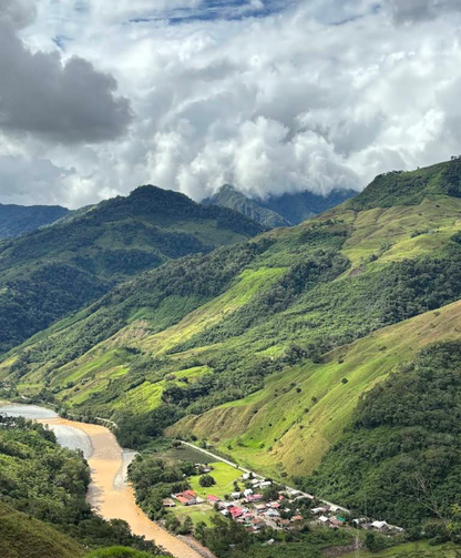 Selva Peruana